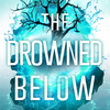 The Metalwood Saga + 2 Adventures (12 book adult science fantasy bundle)